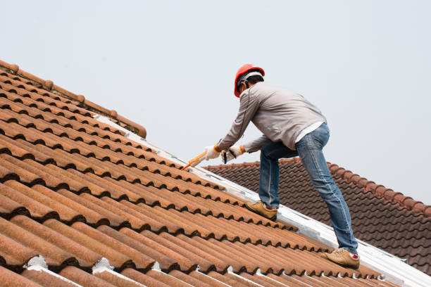 Best Roof Ventilation Installation  in Hollins, VA